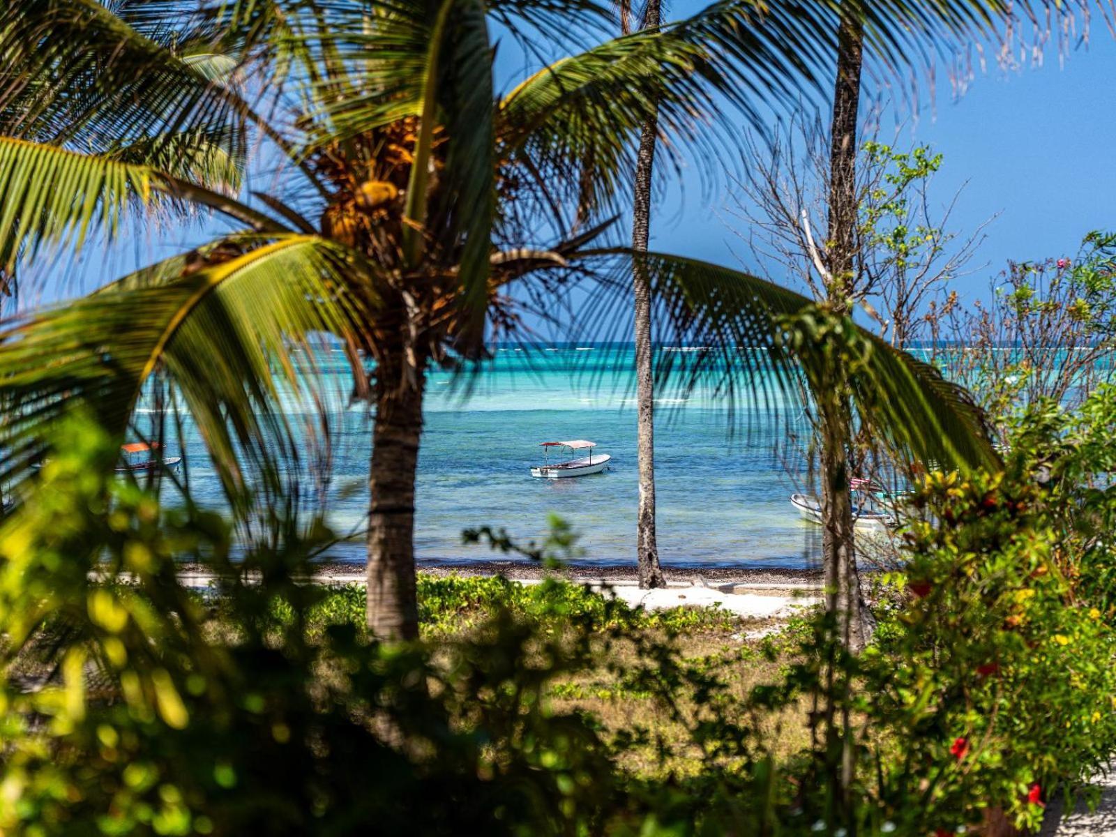 Shanuo Beach Bungalows Michamvi Kae ภายนอก รูปภาพ